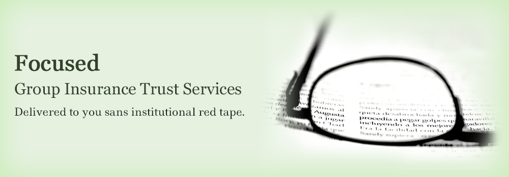 Group Insurance Trustee