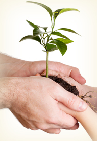 Trustee for group insurance industry
